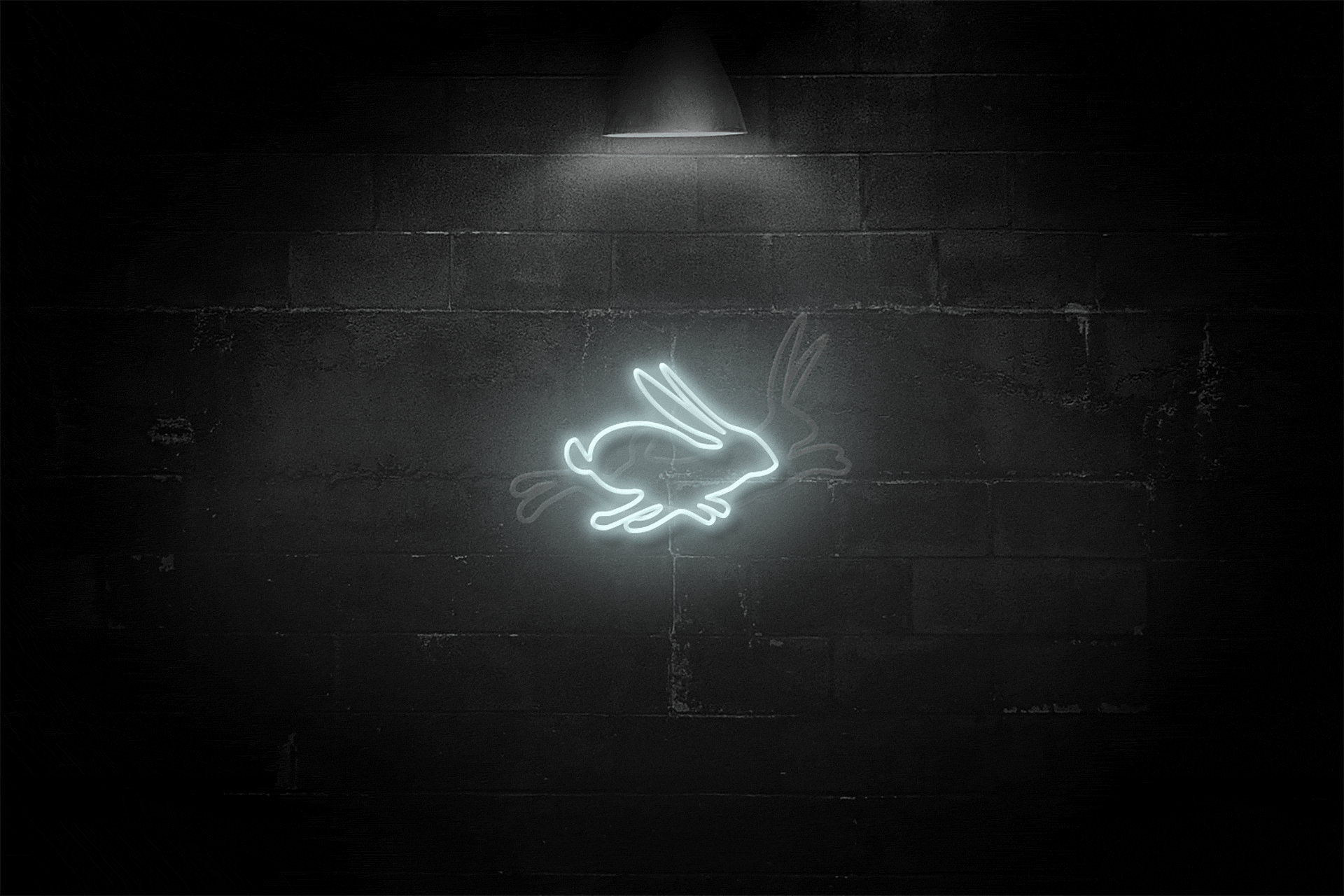 WR_neon_concepts.gif